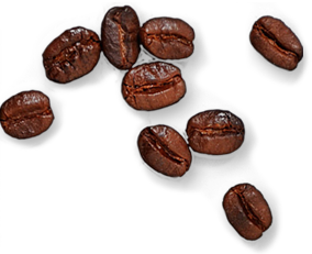 the colombian coffee co.
