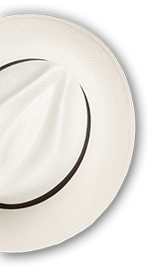 the colombian coffee co. panama hat
