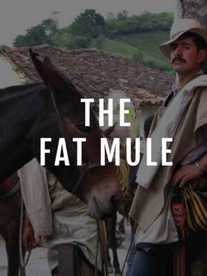 the colombian coffee co. the fat mule