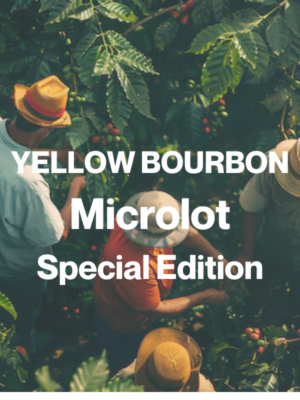 YELLOW BOURBON - Microlot - Special Edition