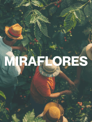 MIRAFLORES - Smallholders program