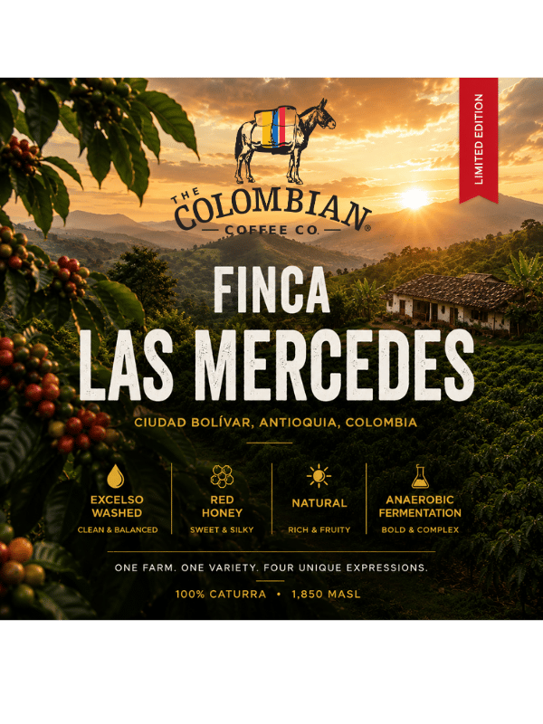 LIMITED EDITION SERIES: Finca Las Mercedes Lot No. 47715W - Excelso washed - Image 2