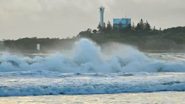 Trading Times Update ☕🌧️

Hey everyone, our Mooloolaba cafe will be open from 6 AM tomorrow!

We’re hoping to stay open until 12 PM, but that will depend on the weather conditions. We’ll keep you posted if anything changes.

Stay safe, and if you’re out early swing by for a coffee and stock up on some beans for home for the weekend 🐴 💛